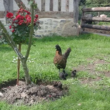 Bed & Breakfast La Bouillerie *