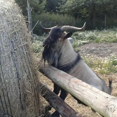 Bed & Breakfast La Bouillerie Gonneville-sur-Mer