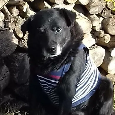 La Bouillerie Bed & Breakfast