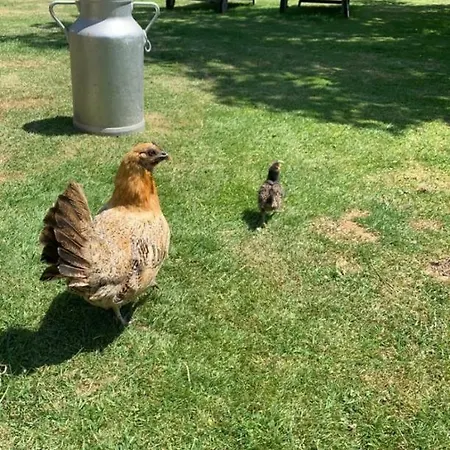 Bed & Breakfast La Bouillerie *