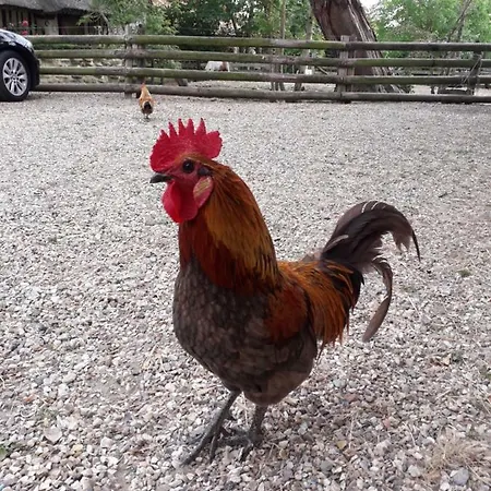 La Bouillerie Bed & Breakfast Gonneville-sur-Mer