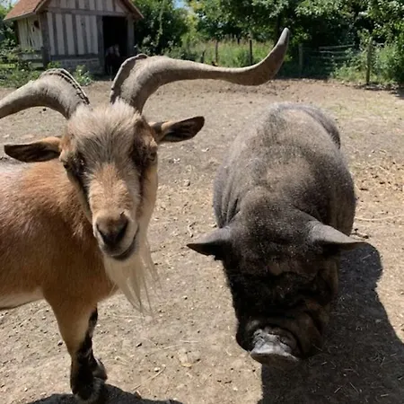 La Bouillerie Gonneville-sur-Mer