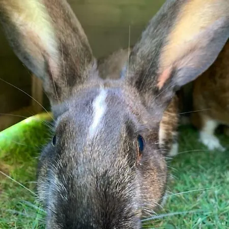 La Bouillerie Bed & Breakfast Gonneville-sur-Mer