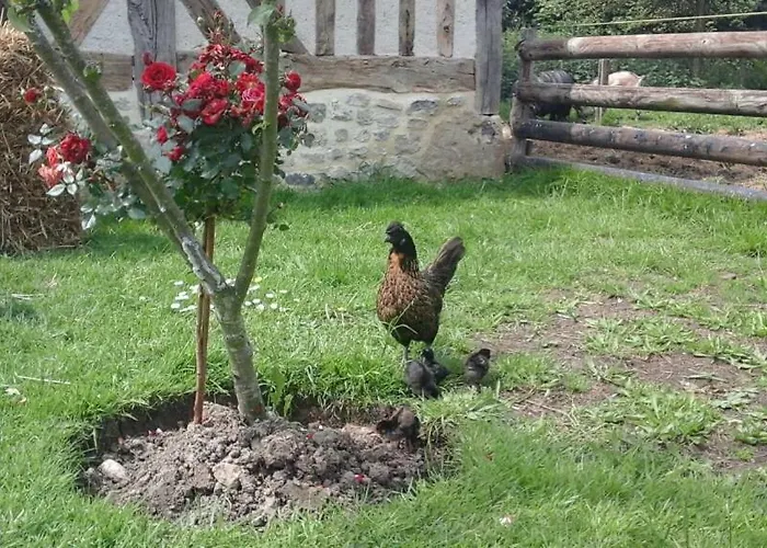 Bed & Breakfast La Bouillerie *