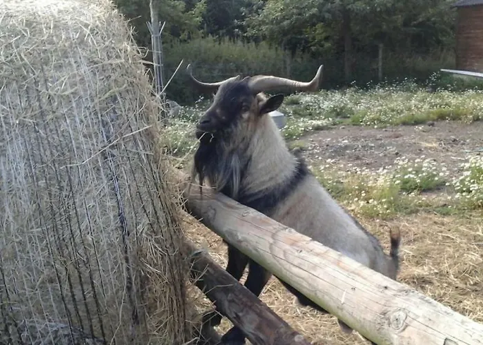 Bed & Breakfast La Bouillerie Gonneville-sur-Mer