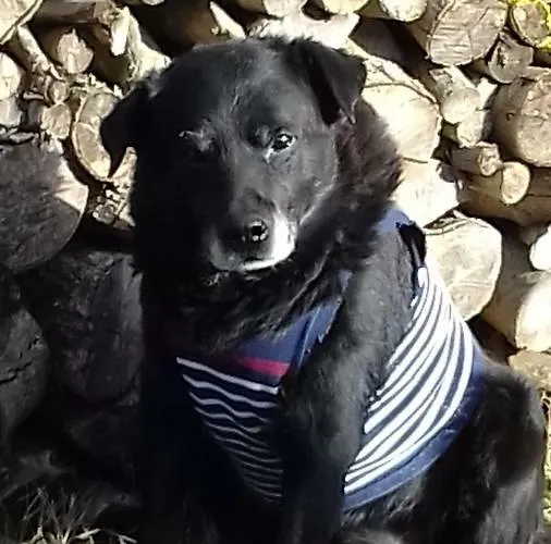 La Bouillerie Bed & Breakfast