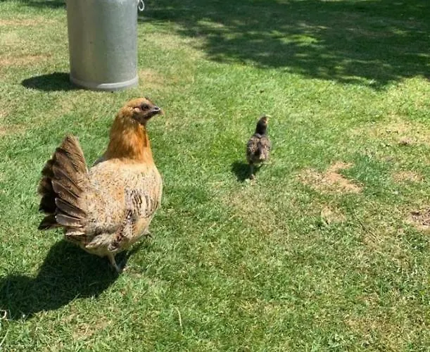 Bed & Breakfast La Bouillerie *