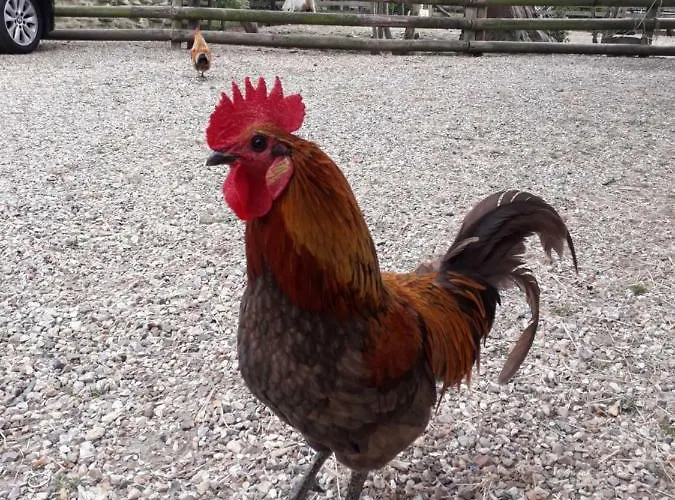 La Bouillerie Bed & Breakfast Gonneville-sur-Mer